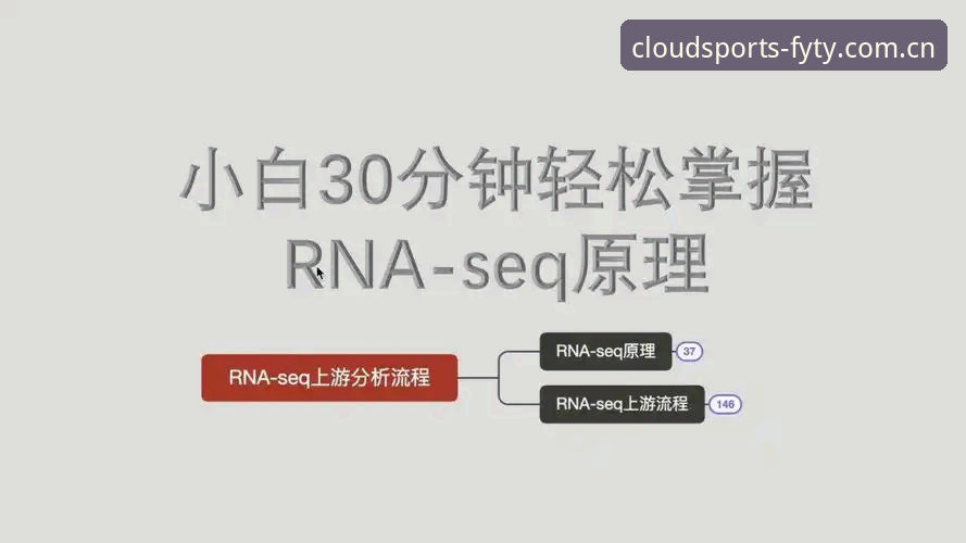 风云体育安卓版安装全流程详解：从下载到使用